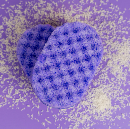 Soap Sponges