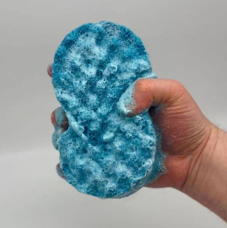 Soap Sponges