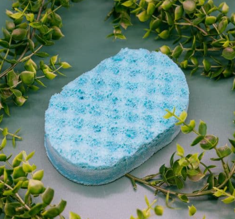 Soap Sponges