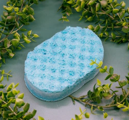 Soap Sponges